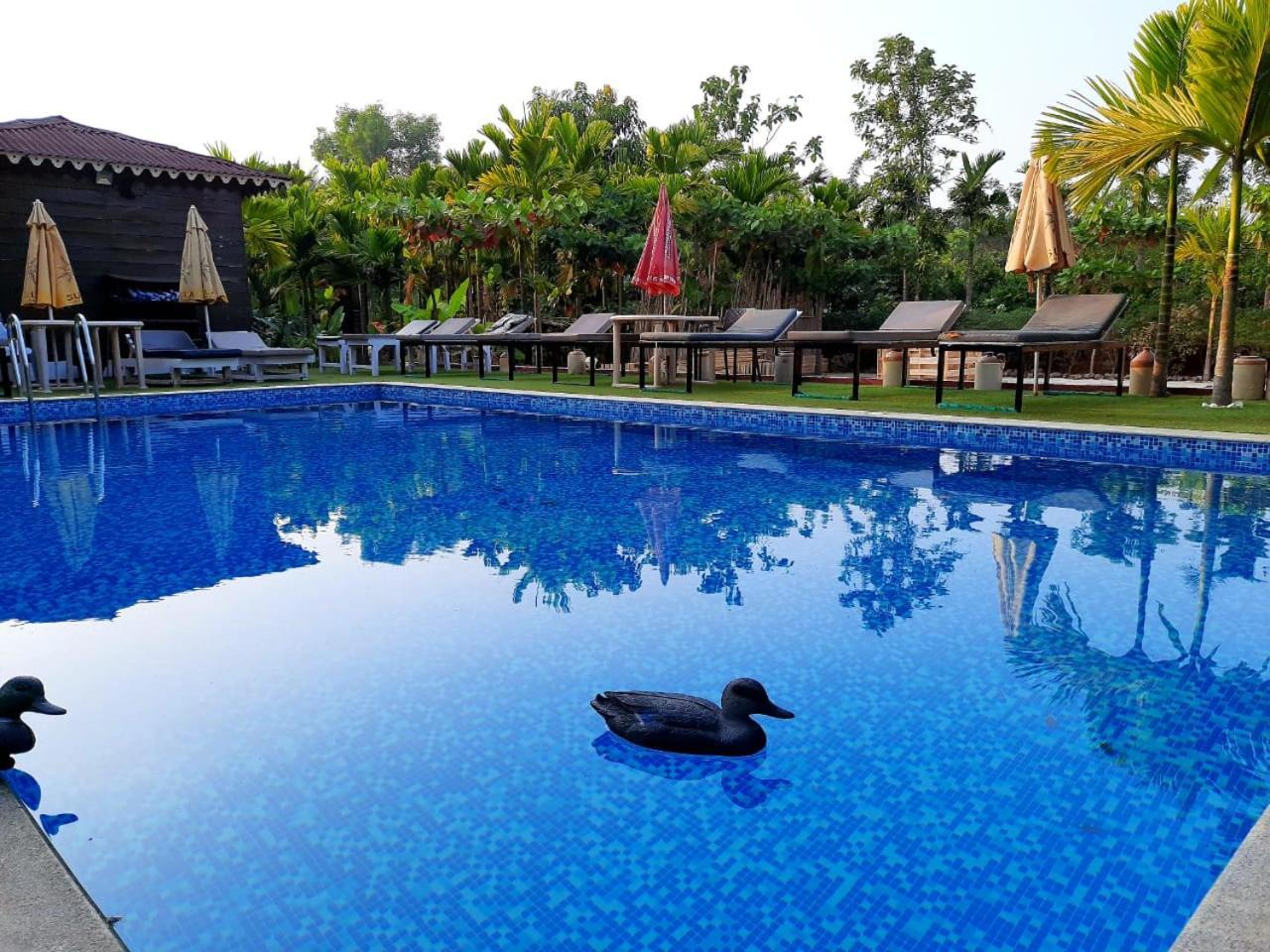 Go Green Spice & Eco Resort Cavelossim Zewnętrze zdjęcie
