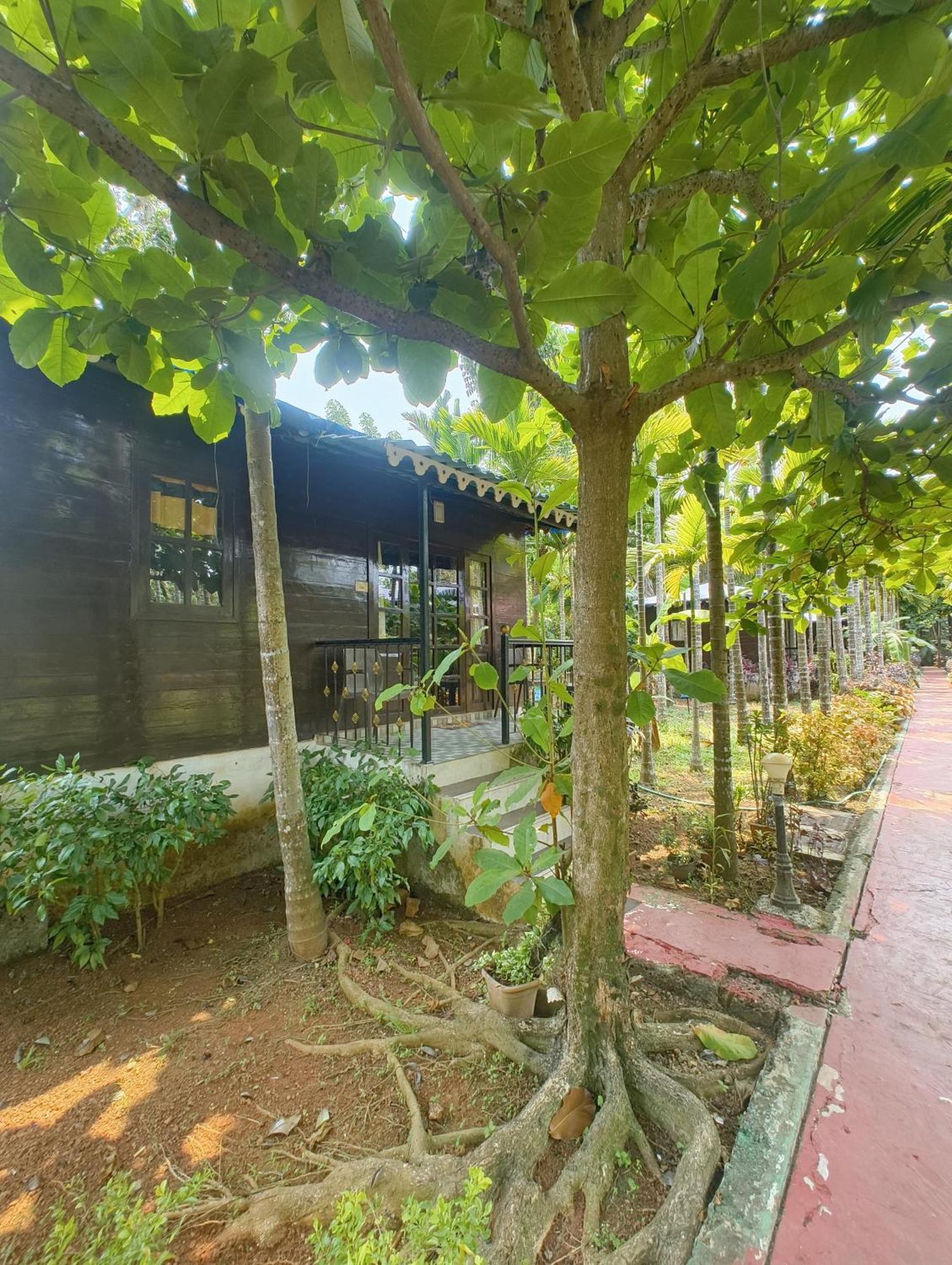 Go Green Spice & Eco Resort Cavelossim Zewnętrze zdjęcie