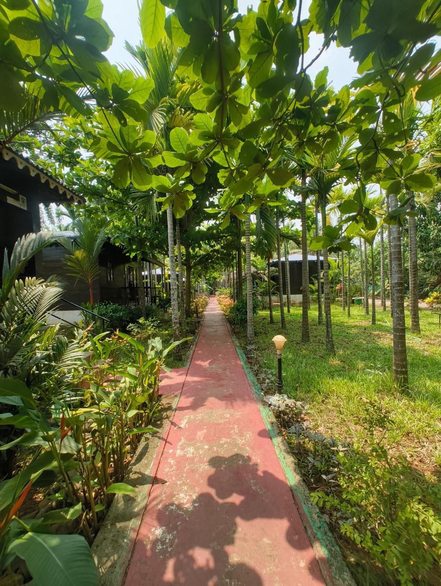 Go Green Spice & Eco Resort Cavelossim Zewnętrze zdjęcie